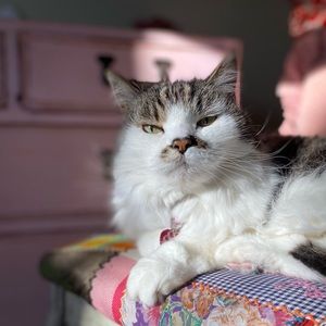 Meet your Posher, Catherine